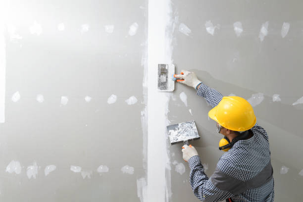 Best Fire-Damaged Drywall Repair  in Bonifay, FL